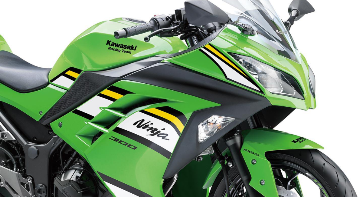 Ninja 300